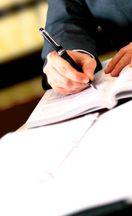 LITIGATION service visual representation